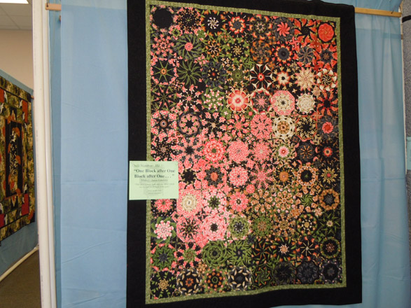 2014qs 049